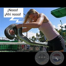 BOA SORTE - Obra de Chester Swann